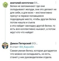 Самая умная белка рискует сесть по 228й