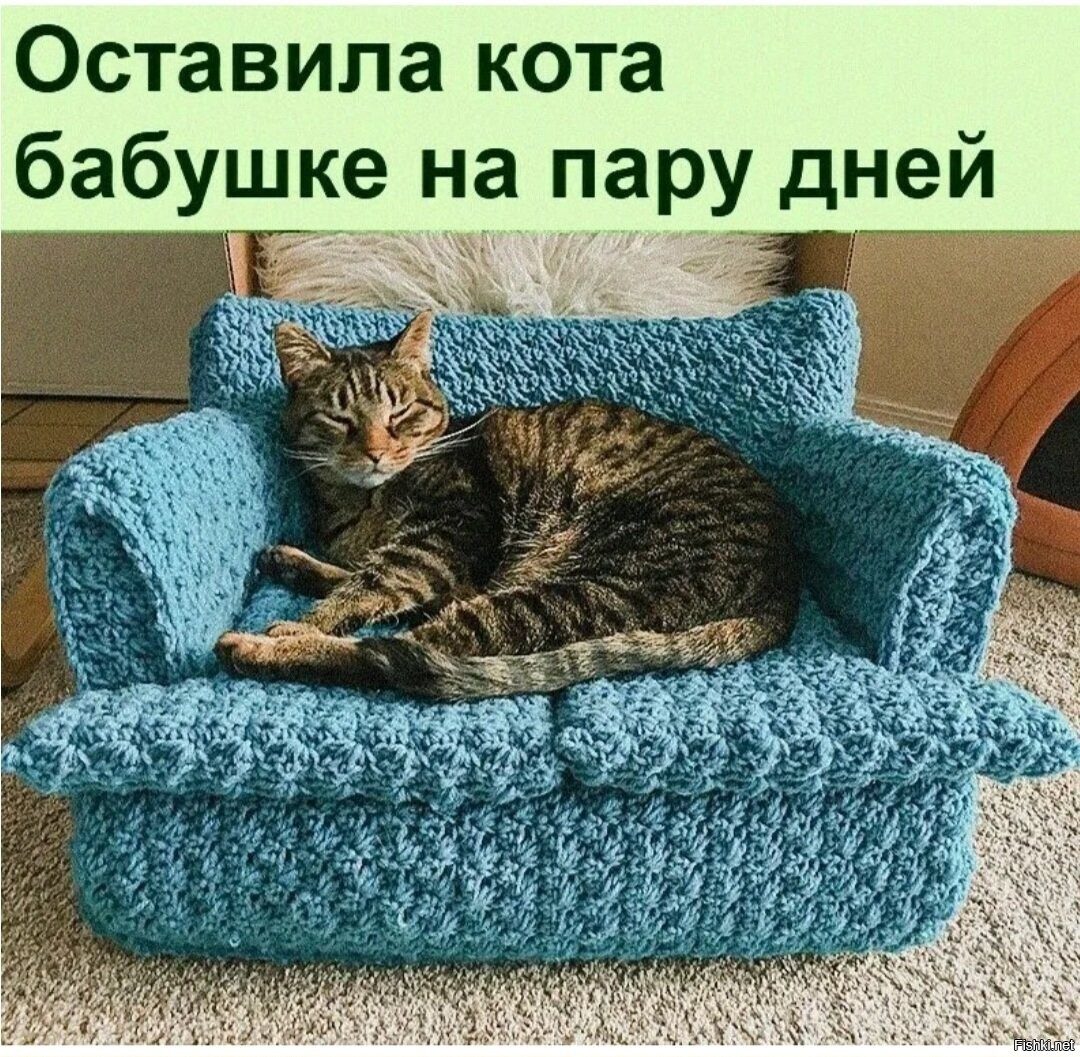 Вязаный диванчик для кота