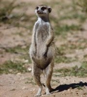 В ожидании принца с миллионом баксов в каждом кармане....