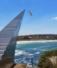 27 крутых и необычных штук, на которые интересно взглянуть