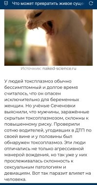 Соседний пост.