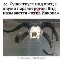 25 забавных и интересных фактов, которыми не стыдно поделиться с друзьями