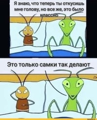 10 животных, у которых самцы и самки отличаются настолько, что с трудом верится в то, что они одного вида