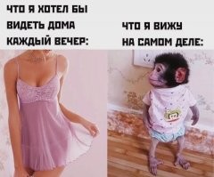 они меня встречают