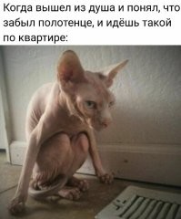 Чего врать... Жиза! )))