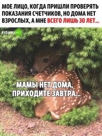 Напомнило...))
Мама на работу собирается. Дочке 4 годика.
  Доченька, я на работу, ты запри дверь и никому НЕ ОТКРЫВАЙ!!
  Хорошо, мамочка.
Мама вышла, думает: надо проверить. Стучит.
  Кто там?
Грубым голосом: «Это мы, газовщики, пришли проверить газовое оборудование. »
Молчание. Затем басом из-за двери:
«Идите на х.у.й, мы углем топим!»