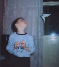 Кроме последнего фото, ничего прикольного. С тем же успехом могу предоставить фото из личного архива (как так настолько чётким оказался попугай в полёте?):
