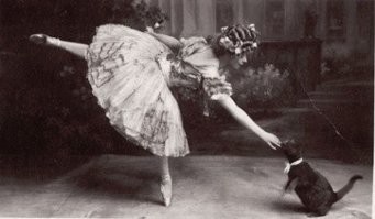 Кот с необычной кличкой, прославившийся как вдохновитель балерин