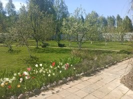Ночью до +3 упала температура. 

___ 

Спасибо. :)