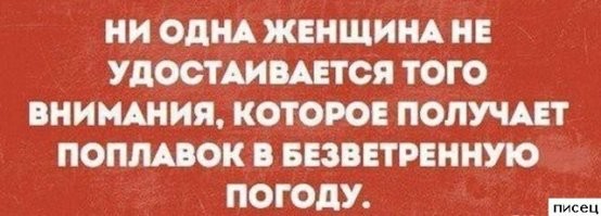 Клюёт?! Тот самый пост о рыбалке, который никто не просил