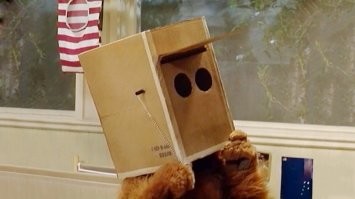 Мужчина с коробкой на голове ограбил магазин