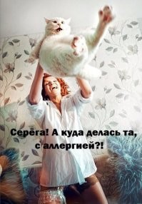 18 угарных котеек, которые требуют, чтобы их оставили в покое