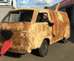 25 забавных и неожиданных встреч на дороге