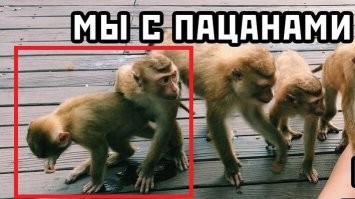 Похоже у автора "с пацанами" уже "месячник гордости" начался