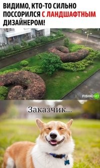 Это как посмотреть...