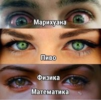 Фотоприколы и&nbsp;прикольные картинки