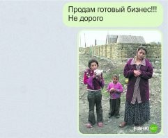 "Кормить нельзя, спасать": россиянин встретил на трассе медведей