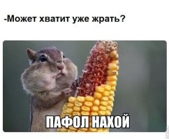 В Ульяновской области люди насмерть отравились палёным алкоголем из "наливайки"
