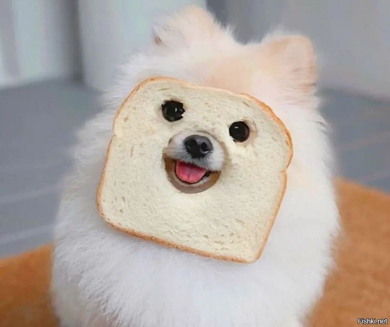 Из сегодняшней подборки ))