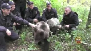 Да, заходили к нам в Зеленоград, лет 7 назад
