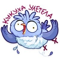 летнее обострение...