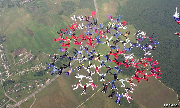 Довелось мне, в моей мотузяной жизни, поучаствовать в паре-тройке  международных "bigway" (что это такое - картинку приложу первую попавшуюся: это всего лишь "сотка". А когда 200+ - ещё веселее, красивше и стрёмнее в исполнении - там с почти десятка "бортов" по команде валят все участники, и пытаются собрать похожую фигуру в утвержденном порядке - у каждого есть своё, чётко прописанное, место "захватов")
Не считая "наших",  в секторе (это кусок общей фигуры) из 20 тушек было два бразильца, немец, датчанин и чувак из Аргентины. А "капитаном сектора" нам поставили Фернандо Гальего (довольно известный в мировой парашютной тусовке мужик и отличный распиз*дяй, бухать вечерами, после тренировок с ним было весело - умеют "зажигать" латиносы!)  
Но вот с английским у всех было плохо: на уровне "лондон из ве кэпитал оф..." 
Фернандо, после очередной неудачной попытки собрать формацию, вставляет "люлей" накосячившим, матерясь по-испански с "пулемётной скоростью",  бразильцы и аргентинец хоть что-то понимают, а "наши" и "фашисты" - не понимают НИХЕРА. Попросил Фернандо перейти на английский (почти все термины в парашютном спорте - англоязычные) - дело пошло на лад: и скорость речи упала, и слова/предложения стали понятны. Так и остался я для "наших" "переводчиком капитанских пиз*дюлей" на целую неделю...