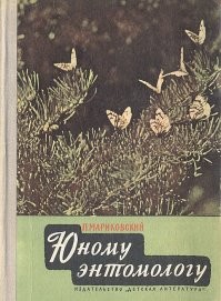 15 лучших детских книг всех времён