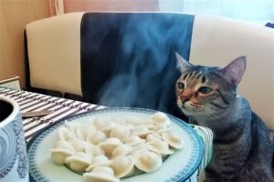 По мне, раньше вывалиться из кипятка - наилучшее решение.  И помочь страждущему. 
 Пусть другие потом купаются в масле и майонезе, но конец-то у всех один.