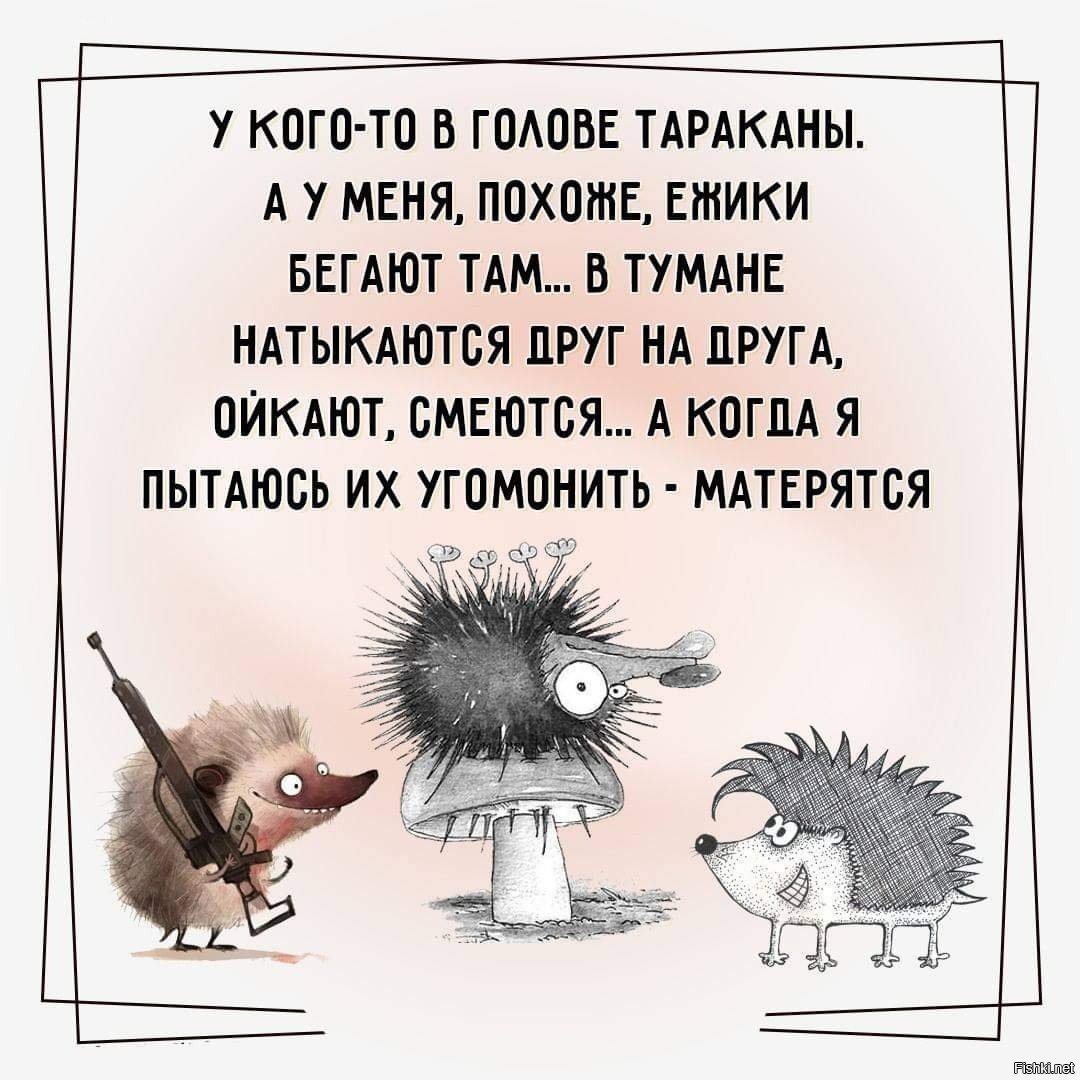 Ежа неси но не беси картинка