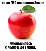 10 фруктов и овощей, которые выглядели совершенно непривычно до того, как человек изменил их путём селекции