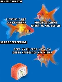 Не ищите здесь смысл. Здесь в основном маразм