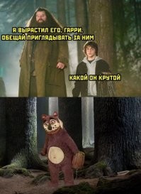 Не ищите здесь смысл. Здесь в основном маразм