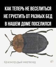 Не ищите здесь смысл. Здесь в основном маразм