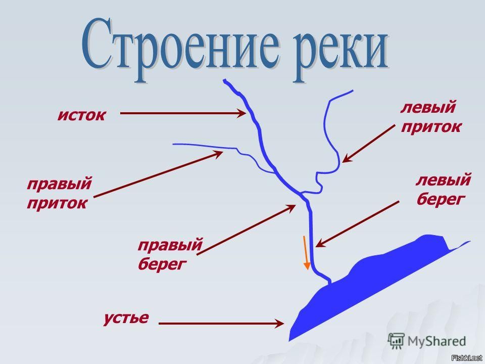 По каким субъектам протекает река волга