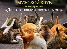 Неоднозначный эксперимент с бутылками с алкоголем