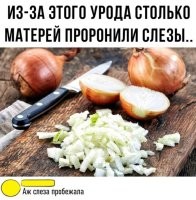 - А я, когда режу лук, никогда не плачу.
- Просто ты чёрствая, бездушная скотина.