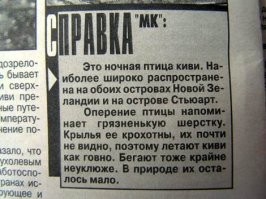 Единственный нелетающий попугай