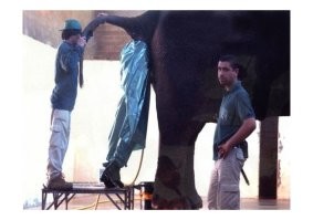 Все профессии нужны, все профессии важны.