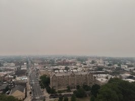 Для пущего драматизма автор фотографий жёлтые фильтры поставил). Я тоже так могу.