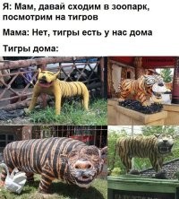 Фотоприколы и&nbsp;прикольные картинки
