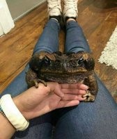 Сильно заколдован, тут сосать придется....