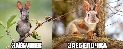 а как же эти =(