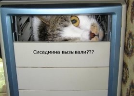 Классический день сисадмина: слабоумие, отвага и гусь