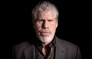 12 пар породистых кошек, которые люди постоянно путают друг с другом