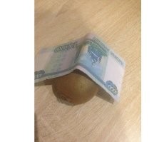 Кинул тебе на киви. Не благодари