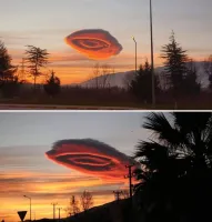 Это знак! П.и.з.д.а прилетела...