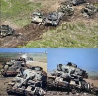 Когда москаль поставил лайк / отправил огонек, и теперь твоя немецкая киска горит