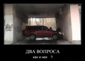Фотоподборка