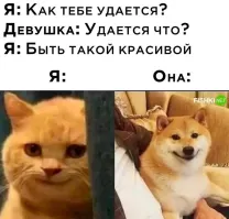 Та еще сука?