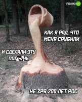 лучшее фото поста.